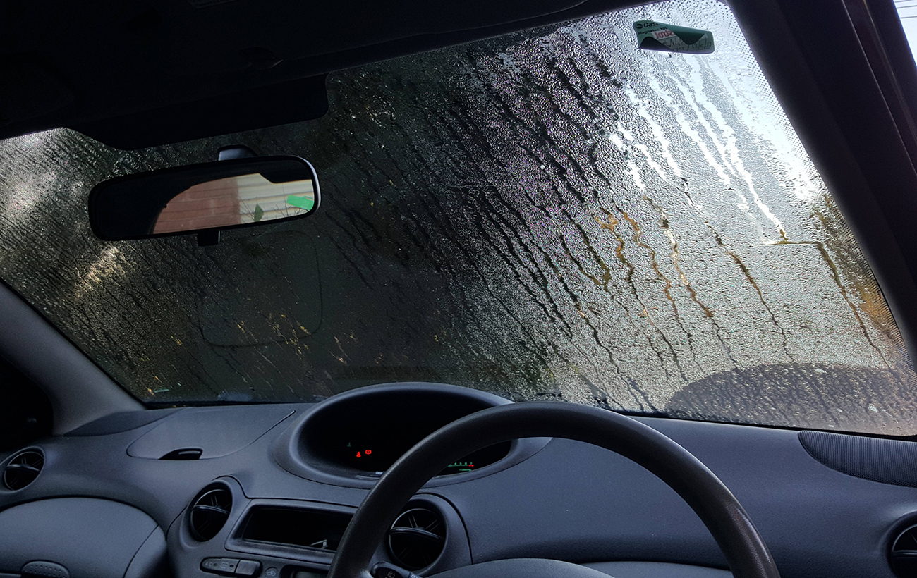 Назустріч стихії: у чому небезпека сильного вітру для авто